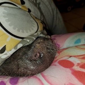 Meet your Posher, Lori